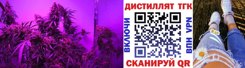 дарк нет клад  Льгов  Дистиллят ТГК THC oil 